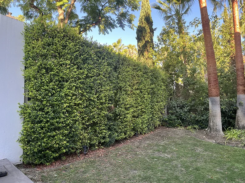 Jardín de Casa Estepona: vista 3 del archivo fotográfico